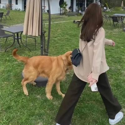 梨树花开